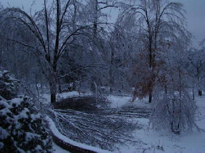 A view of Our front yard.